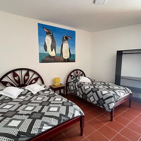 Hotel Isla del descanso Puerto Villamil Quarto foto